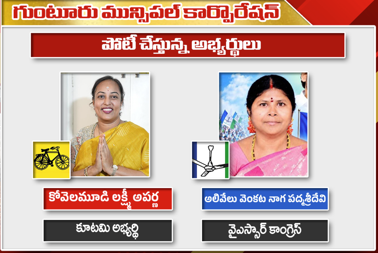 Guntur Mayor Election 2026: లక్ష్మీ అపర్ణ vs పద్మశ్రీదేవి