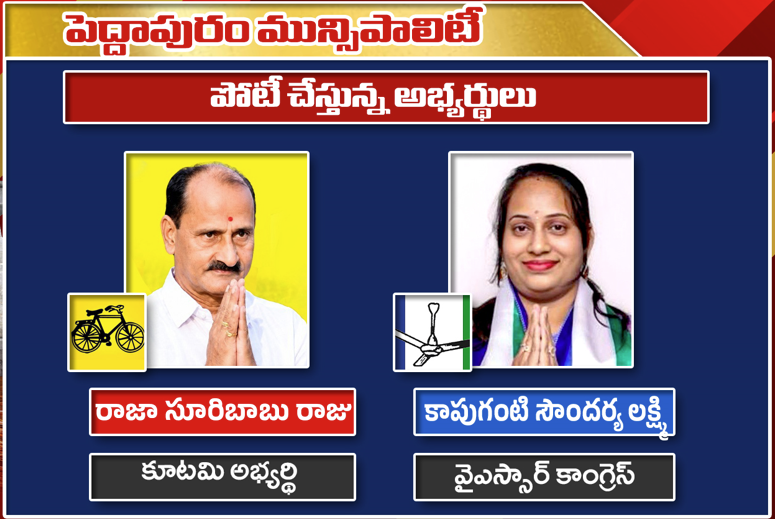 పెద్దాపురం మున్సిపల్ ఎన్నికలు: టీడీపీ సూరిబాబు రాజు వర్సెస్ వైసీపీ సౌందర్య లక్ష్మి | Pe...