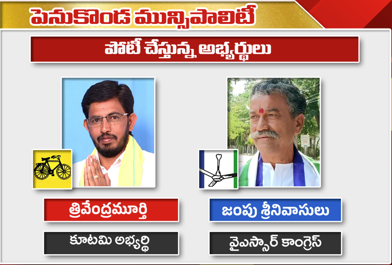 పెనుకొండ మున్సిపాలిటీ ఎన్నికల స్పెషల్ రిపోర్ట్ | Penukonda Municipality Election Analysis
