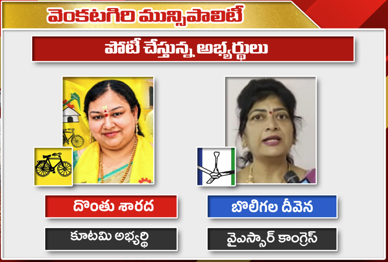 వెంకటగిరి మున్సిపల్ ఎన్నికల గ్రౌండ్ రిపోర్ట్ | Venkatagiri Municipality Election Analysis